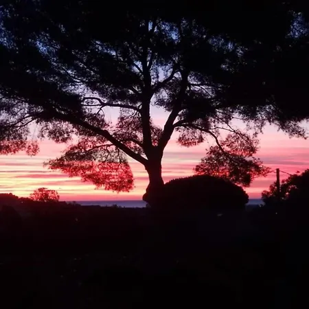 In Gaou With Sea View And Bormes-les-Mimosas